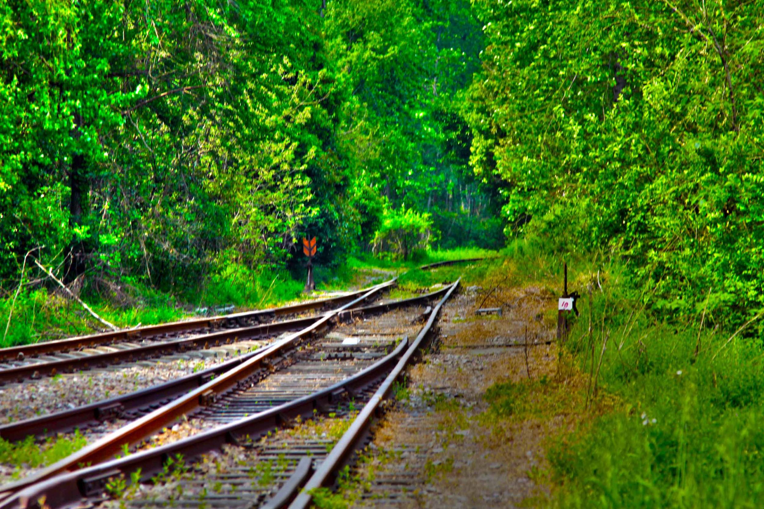 我省今年年內(nèi)有4條鐵路線投入運(yùn)營(yíng)更多出行選擇！