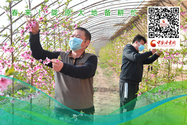 海報丨春來！隴原大地春耕忙