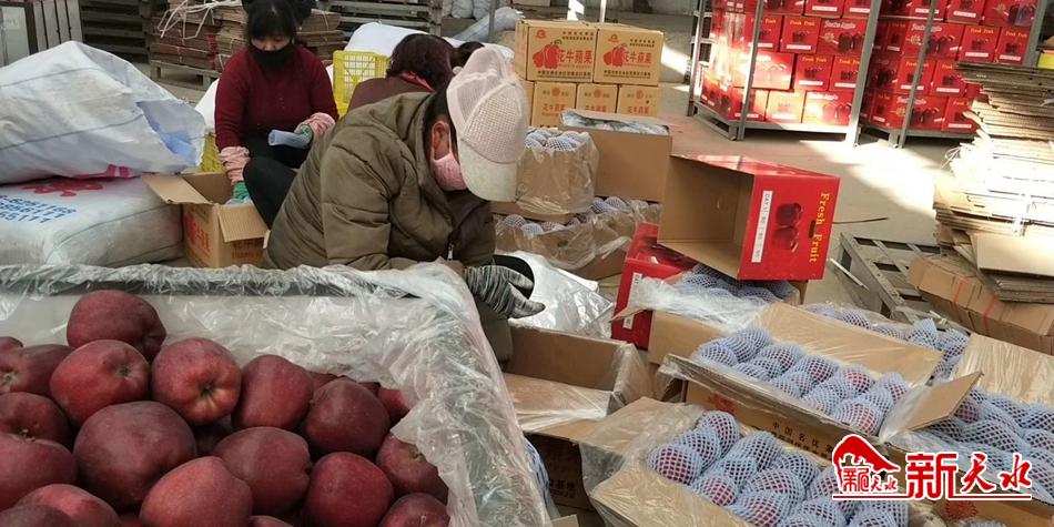 天水“花?！弊罱悬c“?！?>
        </a><em>天水“花牛”最近有點“?！?/em></li>
    <li><a  target=