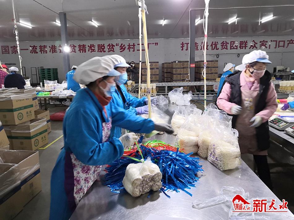 扶貧車間“春意濃”—天水多措并舉統(tǒng)籌推動扶貧車間有序復工復產(chǎn)紀實