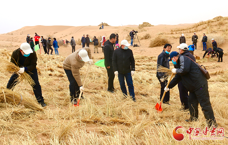 不“疫”樣的植樹(shù)節(jié)！甘肅省新聞戰(zhàn)線工作者攜手播綠“八步沙”（圖+視頻）