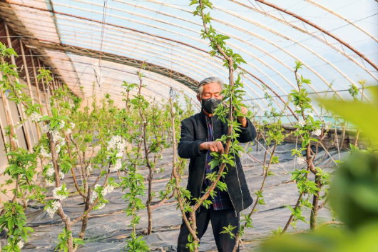 銅城復(fù)蘇：春光明媚，邀你共賞芳華（組圖）