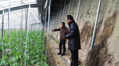 蘭州市加大科技服務 助推農(nóng)業(yè)產(chǎn)業(yè)發(fā)展