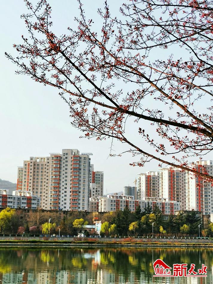 春天，古城天水的十個(gè)美麗瞬間