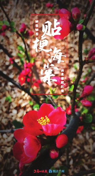 來(lái)，跟這些美美的花朵認(rèn)識(shí)一下！