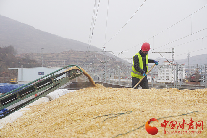 蘭州貨運中心岷縣營業(yè)部黨支部為客戶解愁為企業(yè)復工復產按下“快進鍵”