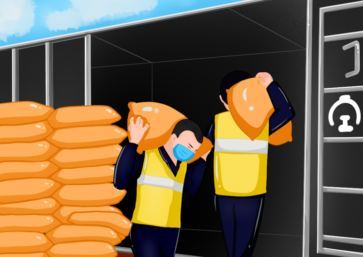 【光明漫評】保障春耕物資，播種希望筑牢信心