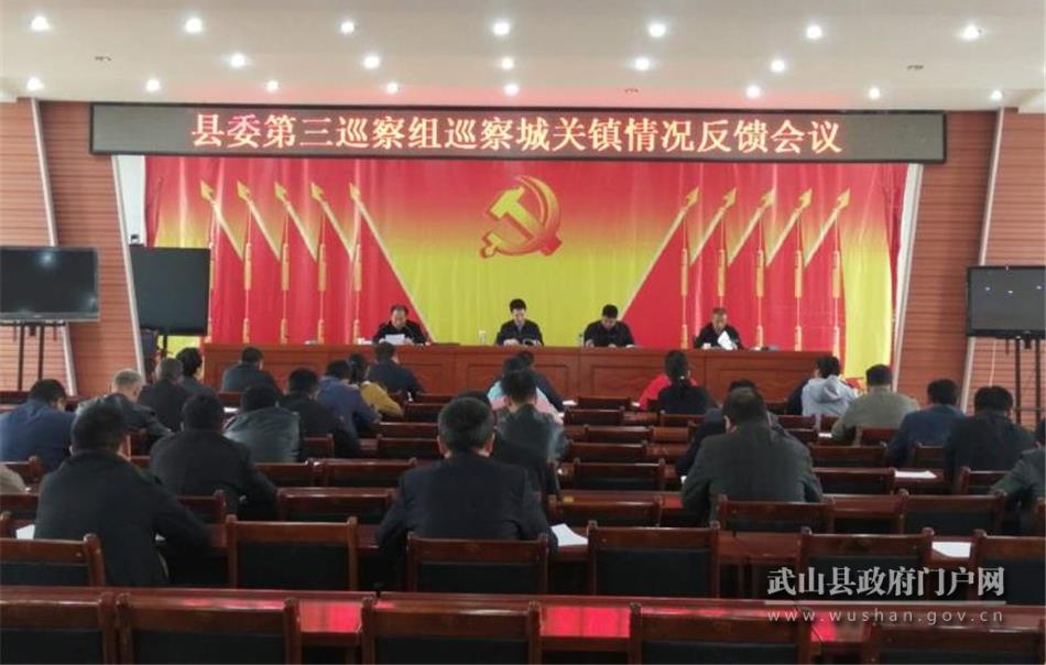 十四屆武山縣委第五輪巡察及醫(yī)療領域?qū)ｍ椦膊旖M向各被巡察單位反饋意見