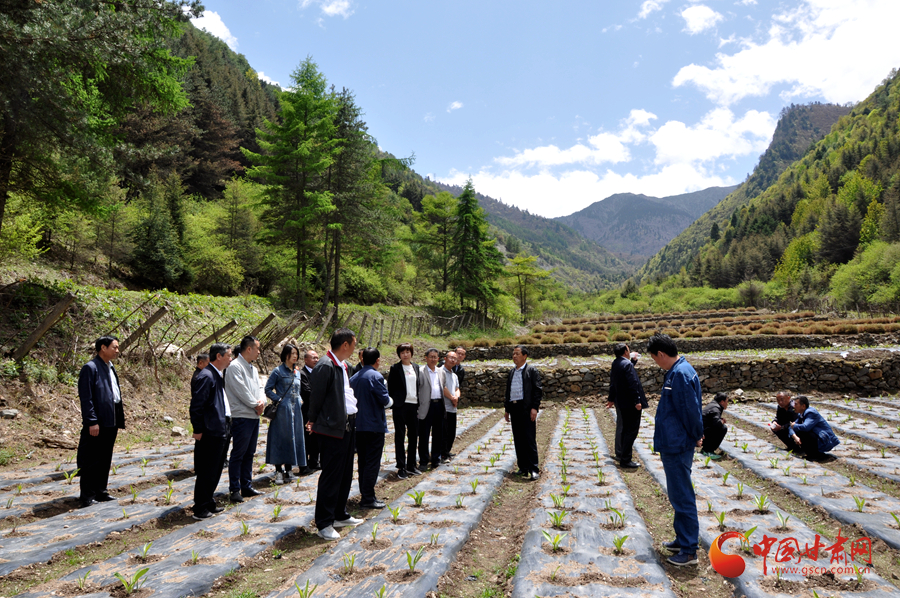 白龍江博峪河保護(hù)局開展產(chǎn)業(yè)發(fā)展、義務(wù)勞動(dòng)成果現(xiàn)場觀摩交流活動(dòng)