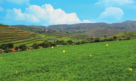 甘肅：推動產(chǎn)業(yè)扶貧 堅(jiān)決打贏脫貧攻堅(jiān)戰(zhàn)（圖）