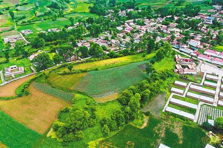 【溫暖的回響 滄桑巨變 飲水思源】這條路，通往幸福