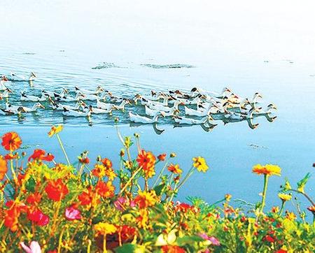 張掖濕地公園——碧波萬(wàn)頃風(fēng)光美