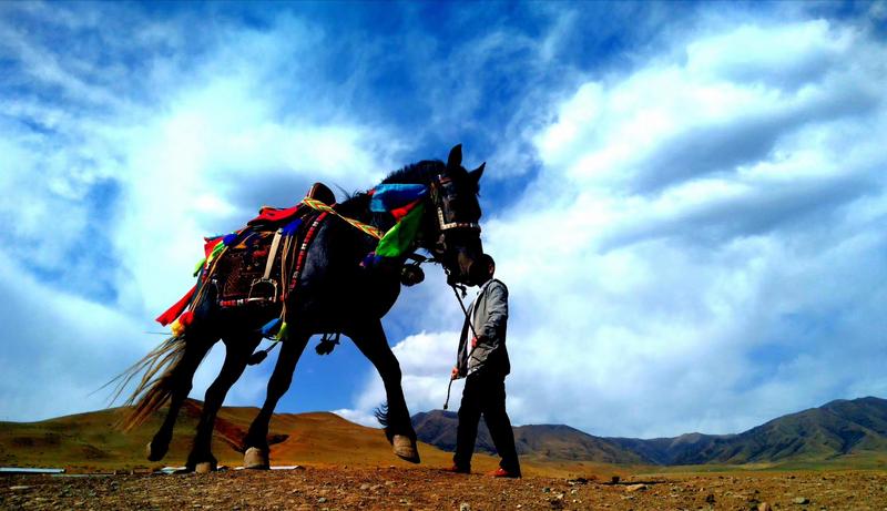 好消息！天祝被命名為“中國高原走馬之鄉(xiāng)”