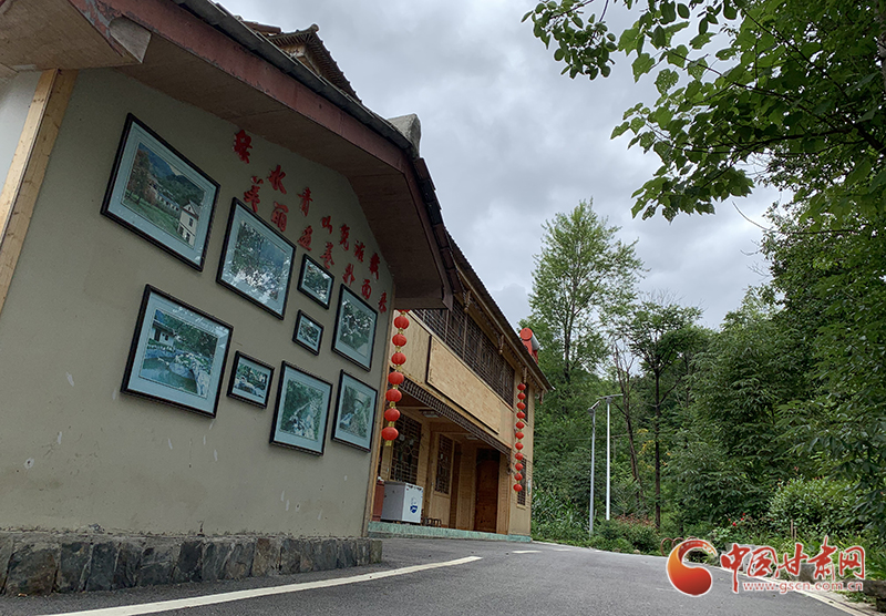 【走向我們的小康生活】村美、業(yè)興、民富……康縣何家莊描繪鄉(xiāng)村振興新畫卷（圖）