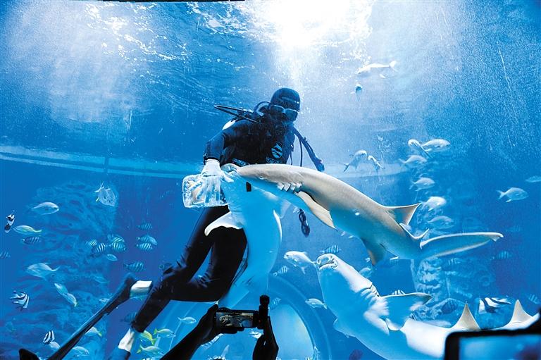 蘭州海洋公園 金昌火星1號基地 這個(gè)暑假我們“上天入海”