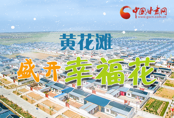 【跟著總書記看甘肅】長圖|武威黃花灘盛開幸?；?