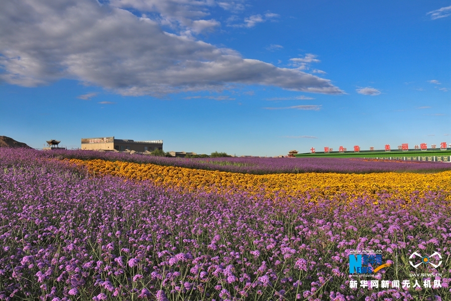 【“飛閱”中國】鳳凰花?！罢钩帷钡は伎?>
        </a><em>【“飛閱”中國】鳳凰花?！罢钩帷钡は伎?/em></li>
    <li><a  target=