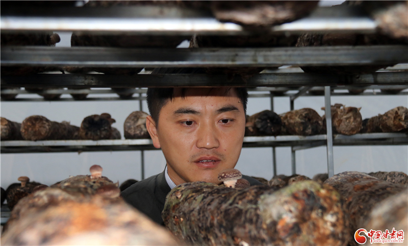 110年！何家溝村終于有了集體經(jīng)濟(jì)——中建二局黨建結(jié)對(duì)幫扶成效顯著