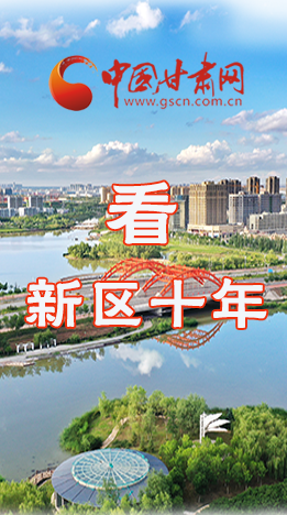 圖解|崛起！新區(qū)十年