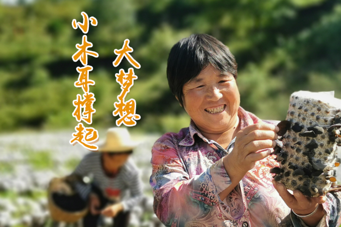 海報丨他們，乘“豐”破浪！