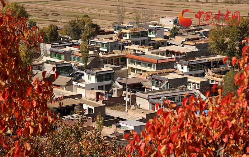 岷縣:山川村居皆詩(shī)意 鄉(xiāng)村秋色美如畫(huà)
