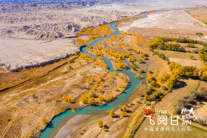 【飛閱甘肅】好美！疏勒河畔大地斑斕