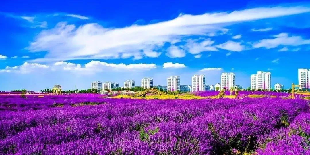 喜訊！金昌蟬聯(lián)全國(guó)文明城市