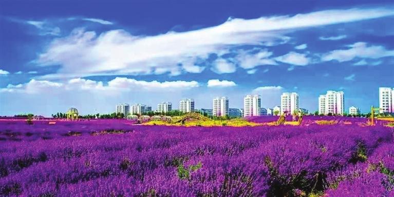 “三連冠”！金昌蟬聯(lián)全國文明城市