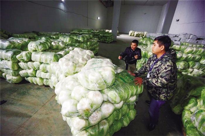 蘭州市已儲(chǔ)備1萬噸冬春蔬菜以耐貯存、易周轉(zhuǎn)品種為主