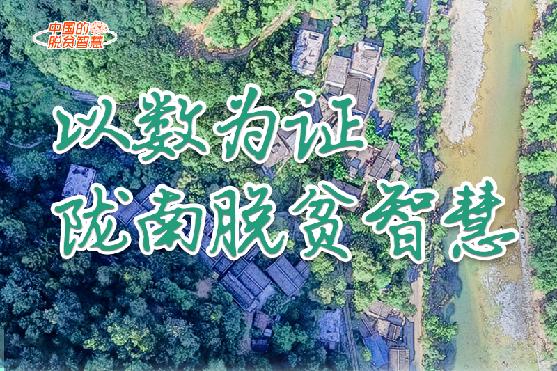 【中國的脫貧智慧】以數(shù)為證！隴南脫貧智慧來了！