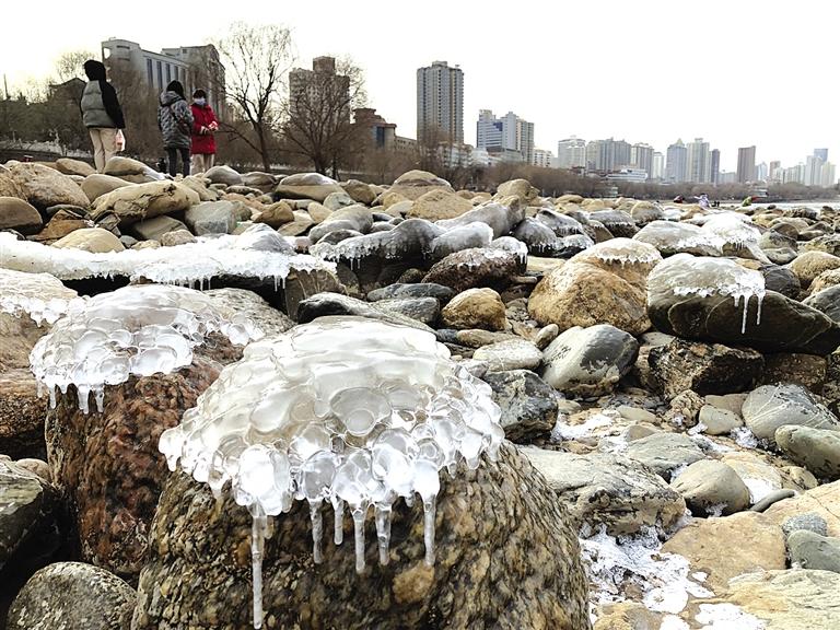 蘭州：水母上河灘？