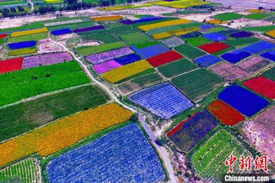 甘肅酒泉：除了天時地利，還有一“種”力