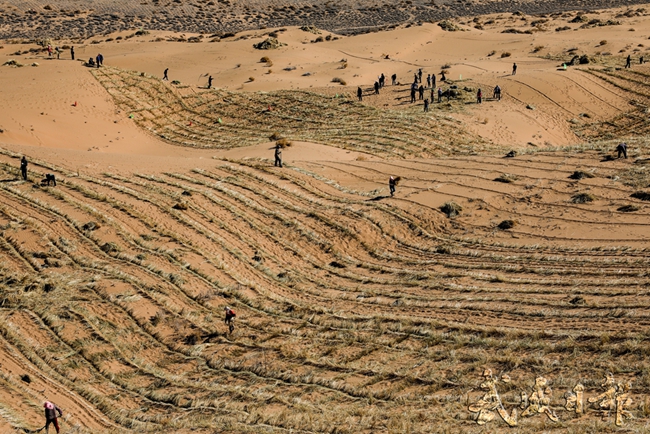 “愚公”精神永傳承 齊心協力戰(zhàn)“黃龍”