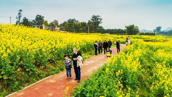 游客在花海里踏青。廖濤 攝
