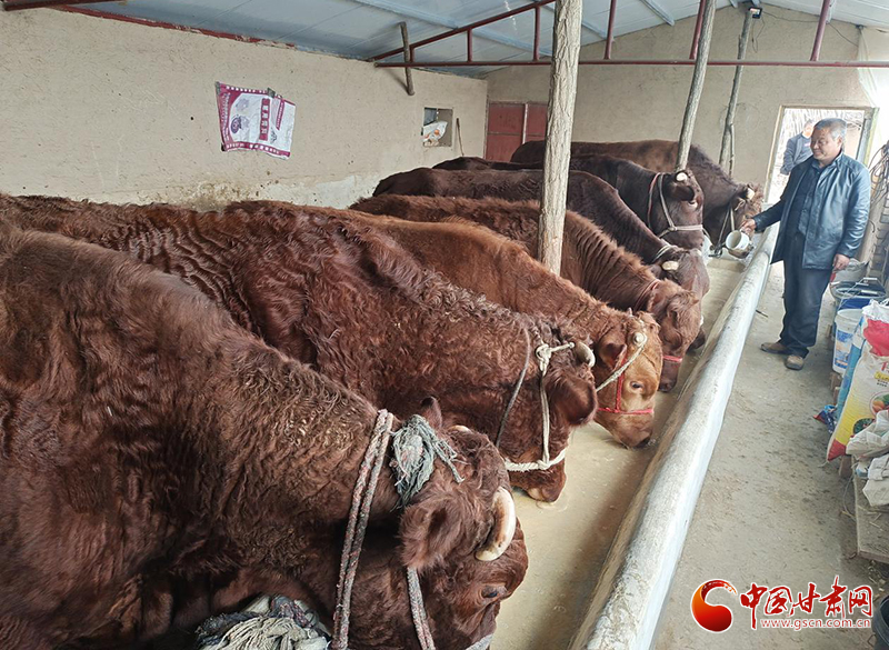 平?jīng)鰶艽ǎ骸芭！碑a(chǎn)業(yè)鋪就致富路