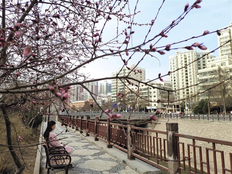 蘭州“第一朵花”開(kāi)了！