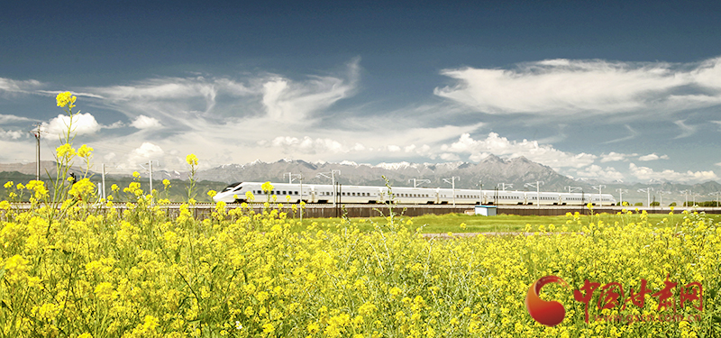 坐上火車“邂逅”春天，你可以這樣享“鐵路游”