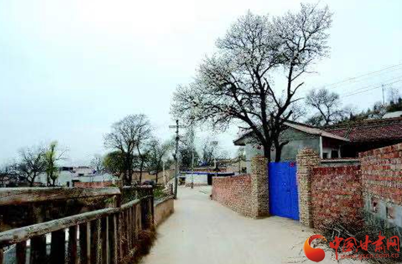 【我的扶貧故事】天水市麥積區(qū)：周山村越變?cè)矫懒?>
        </a><em>【我的扶貧故事】天水市麥積區(qū)：周山村越變?cè)矫懒?/em></li>

                </ul>
            </div>
            <!-- public platform -->
            <div   id=