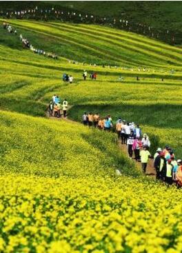 甘肅明確農(nóng)民進(jìn)城落戶:不以退出承包地、林地等為條件