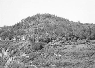 歷史眼丨張果老是正寧人？他與甘肅福緣不淺