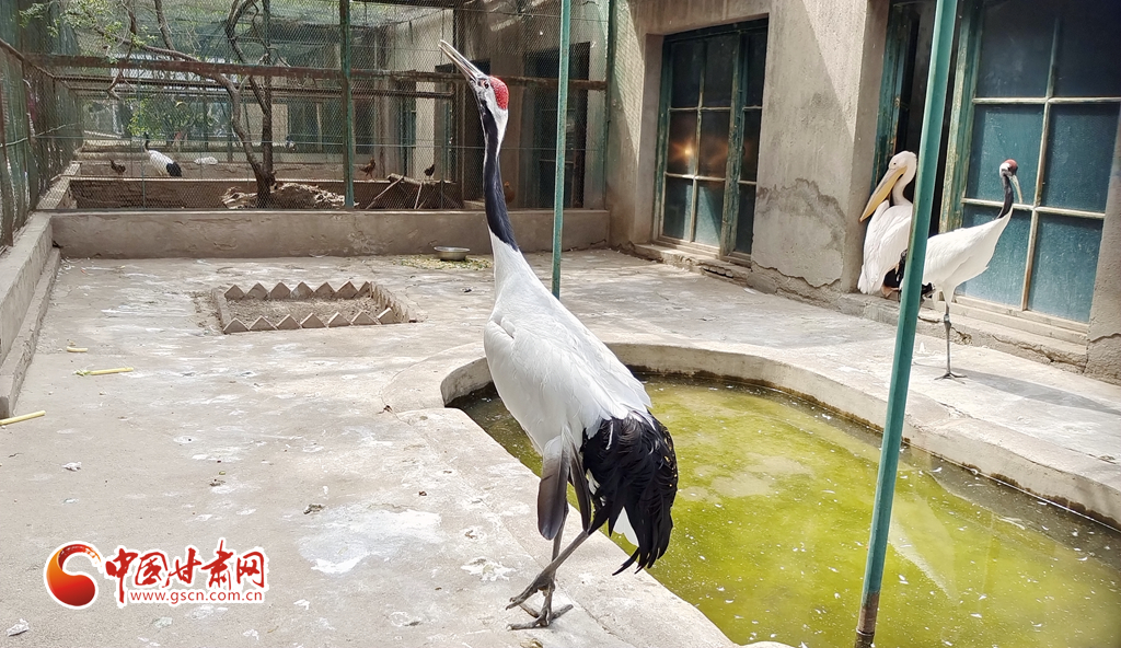 蘭州公安提醒市民：非緊急非必要，不出境