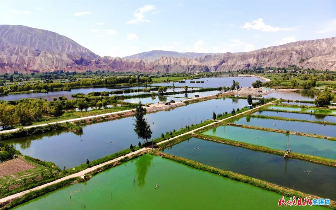 一秒入畫！太極島濕地風(fēng)光秀麗