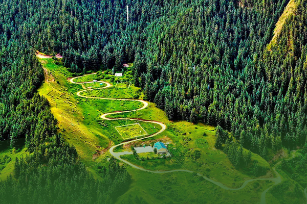 海報(bào)|祁連山保護(hù)區(qū)生態(tài)環(huán)境問題整改全面完成！