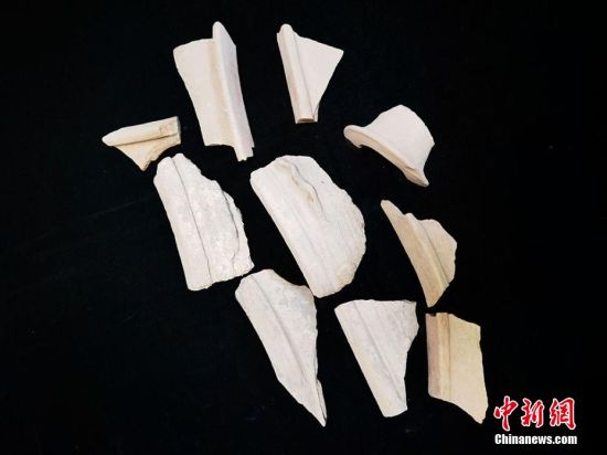 圖為靜寧縣賈河鄉(xiāng)竇坪村出土的彩陶片、紅陶片。 夏劍鋒 攝