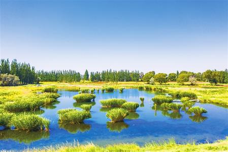 碧水清流潤(rùn)酒泉 酒泉市強(qiáng)化河湖長(zhǎng)制建設(shè)幸福河湖