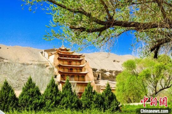4月的敦煌莫高窟景區(qū)春意盎然。(資料圖) 王斌銀 攝
