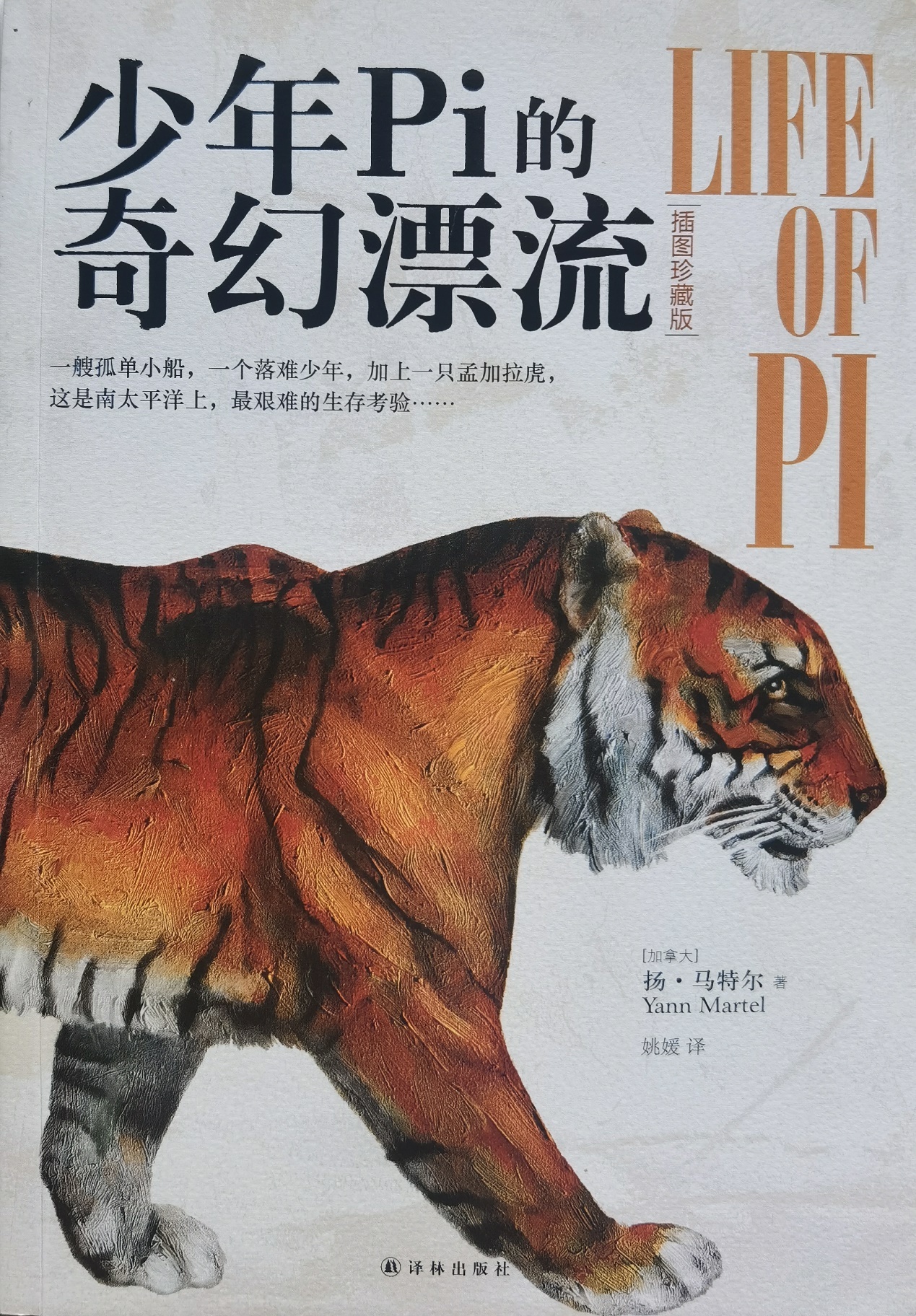 插圖1:揚(yáng)?馬特爾的小說(shuō)《少年pi的奇幻漂流》封面