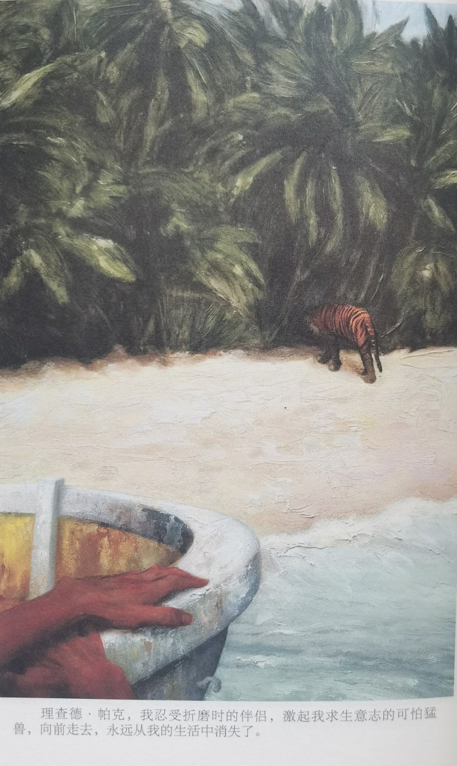 插圖3:揚(yáng)?馬特爾的小說(shuō)《少年pi的奇幻漂流》插圖