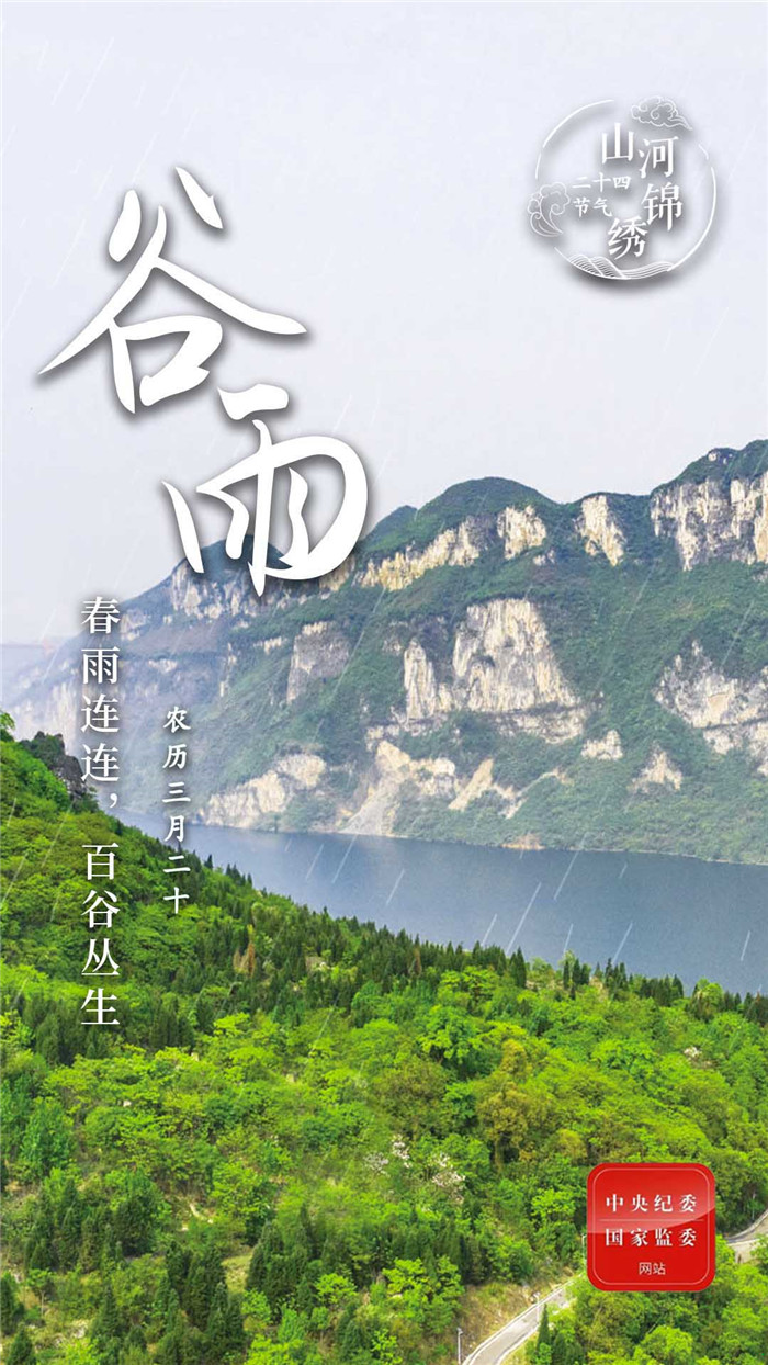 1650412803423871.jpg 1.jpg