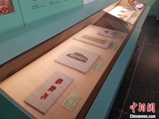 圖為展覽現(xiàn)場?！《鼗脱芯吭汗﹫D